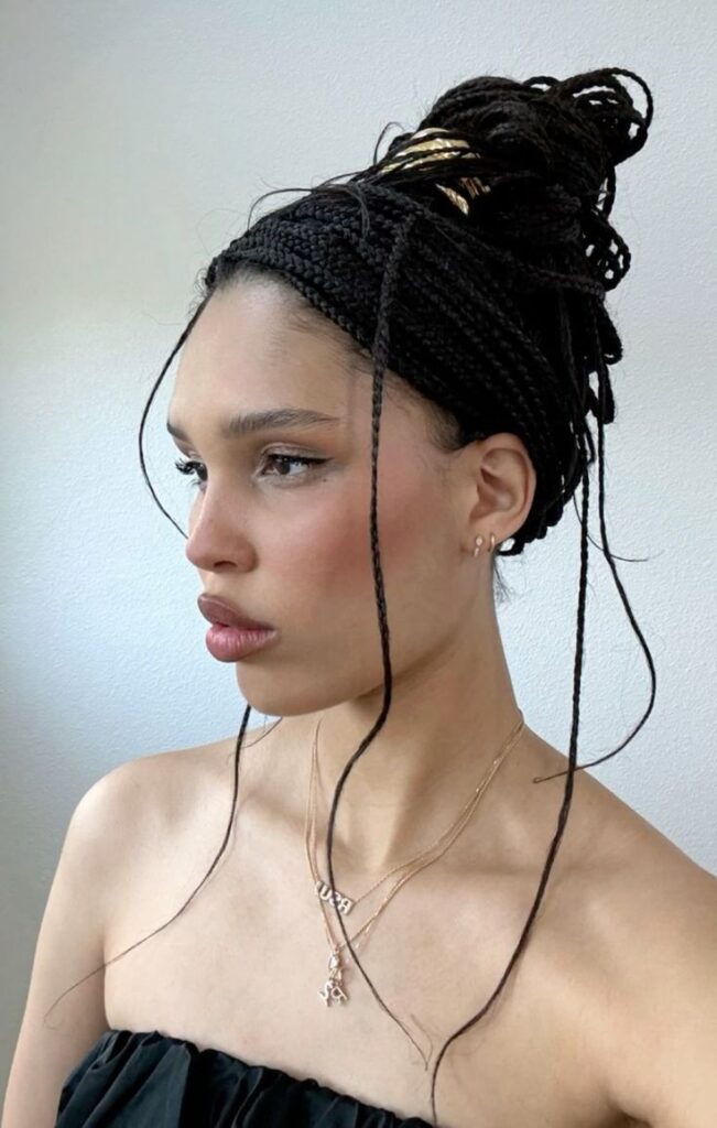 Estilos de Box Braids - microbraids